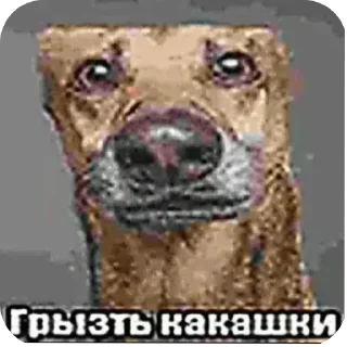 🖼 emoji Кирил Пидорас ▶️ @saiddeee Telegram sticker 15 of 118