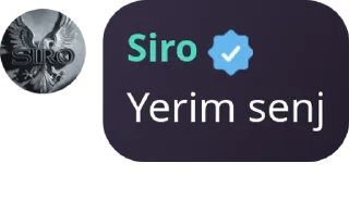 🏄‍♀️ emoji Bedavacilar chat pack by @QuotLyBot Telegram sticker 12 of 89