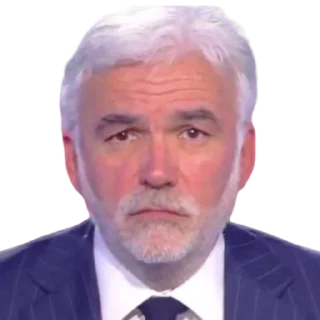 🙁 emoji Pascal Praud Telegram sticker 11 of 15