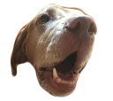 😫 emoji doggos Telegram sticker 24 of 30