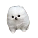 ☁ emoji doggos Telegram sticker 22 of 30