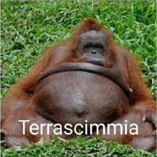 😁 emoji Scimmie elementali @leone223 Telegram sticker 11 of 30