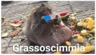🐵 emoji pianeta delle scimmie Telegram sticker 5 of 87