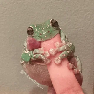 🐸 emoji -Frog🐸 [@BIueDaisy] Telegram sticker 16 of 50