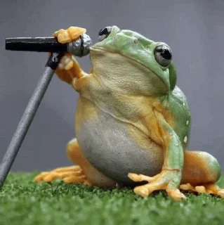 🐸 emoji -Frog🐸 [@BIueDaisy] Telegram sticker 24 of 50