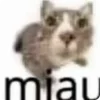 🌟 emoji Котики муркотики (Enderskrynya Telegram sticker 21 of 109