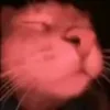 🌟 emoji Котики муркотики (Enderskrynya Telegram sticker 19 of 109