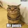 😼 emoji Котики муркотики (Enderskrynya Telegram sticker 23 of 109