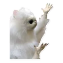 😳 emoji Essentials Telegram sticker 4 of 27
