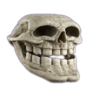 💀 emoji Meme Essentials Telegram sticker 23 of 45