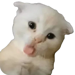 🫥 emoji Dee Telegram sticker 2 of 30