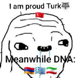 👍 emoji Anti-turks pack Telegram sticker 12 of 29