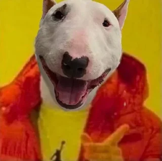 😐 emoji Bull Terrier Telegram sticker 21 of 43