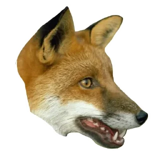 😲 emoji Il Volpo Telegram sticker 5 of 20