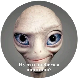 Sticker from Для переговоров