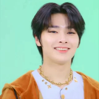 💚 emoji SKZ SPOTIFY @SKZSTICKERS Telegram sticker 9 of 49