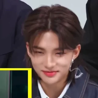 🍁 emoji skz challenge @skzstickers Telegram sticker 18 of 50