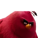 😒 emoji Angry Birds Telegram sticker 21 of 62