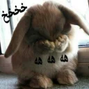 😂 emoji 🐰دوشان🐰 Telegram sticker 13 of 52