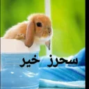 🤗 emoji 🐰دوشان🐰 Telegram sticker 18 of 52