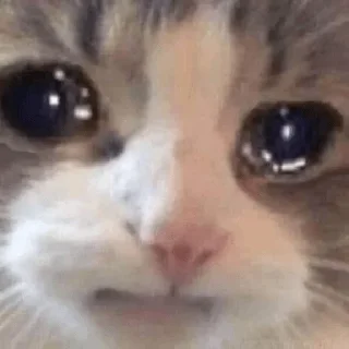 😥 emoji Ali @A542JZ Telegram sticker 16 of 120
