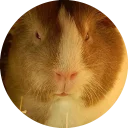 Sticker from Fat Cuy