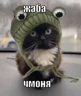 😘 emoji чмоня:>>> х люблю маму Telegram sticker 21 of 23