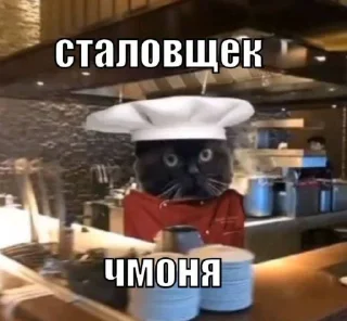 🤤 emoji чмоня:>>> х люблю маму Telegram sticker 6 of 23