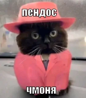 🤯 emoji чмоня:>>> х люблю маму Telegram sticker 3 of 23