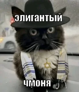 🤯 emoji чмоня:>>> х люблю маму Telegram sticker 14 of 23