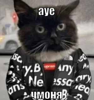 👍 emoji чмоня:>>> х люблю маму Telegram sticker 18 of 23
