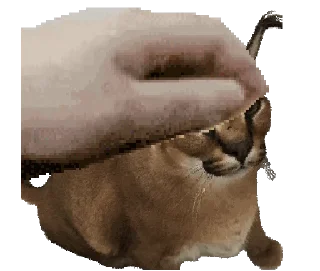 🌟 emoji Meme Telegram sticker 23 of 50