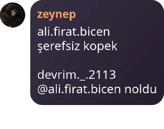 🧑‍🔧 emoji Kürt kızlar klanı #amed Telegram sticker 13 of 72