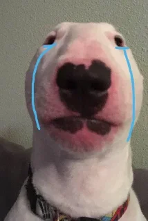 😭 emoji Walter Telegram sticker 7 of 12