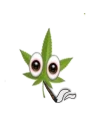 🌴 emoji Weed Telegram sticker 5 of 52