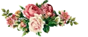 🌹 emoji فواصل 🌷🌷🌷🌷 Telegram sticker 20 of 63