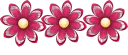 🌹 emoji فواصل 🌷🌷🌷🌷 Telegram sticker 14 of 63