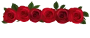 🌹 emoji فواصل 🌷🌷🌷🌷 Telegram sticker 22 of 63