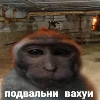 👌 emoji вахуи Telegram sticker 6 of 13