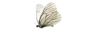 Sticker from 𝒞ℎ𝑒𝑟𝑟𝑦 ꣑ৎ ℬ𝑒𝑟𝑟𝑦