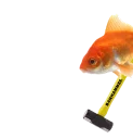 😒 emoji Goldfish's Shitty Meme Pack Telegram sticker 13 of 92