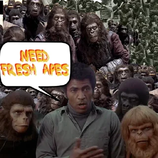 🦍 emoji Ape Team 500 Telegram sticker 5 of 88