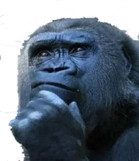 🦍 emoji Ape Team 500 Telegram sticker 23 of 88