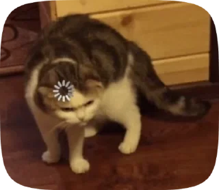 Sticker from Gif - @Gatta_Strafatta