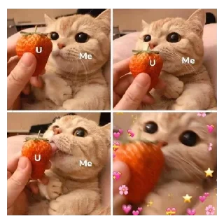 😊 emoji hug Telegram sticker 19 of 120