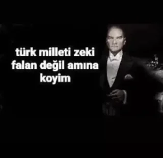 🫡 emoji KURALLAR ÇİĞNENMEK İÇİN VAR AMINA KOYİM Telegram sticker 13 of 32