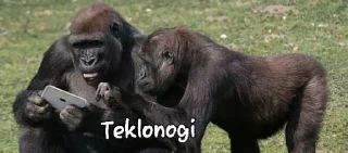🦍 emoji @harubxd @AsenaUserBot Paketi 1 Telegram sticker 12 of 87