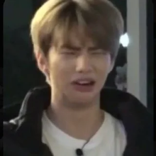 🤢 emoji Hyunjin Telegram sticker 9 of 101