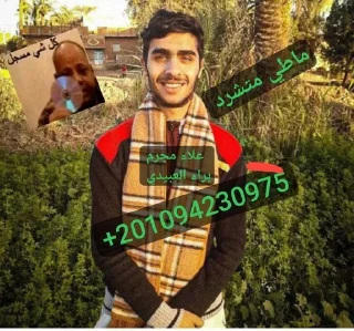 🌟 emoji Ahmed Saged - 3FrT Telegram sticker 16 of 27