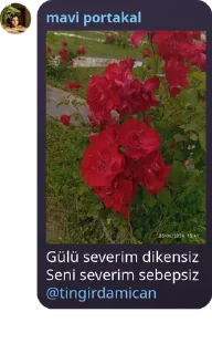 👩‍🦳 emoji lágrimass şchgottenbiısırık Telegram sticker 7 of 22